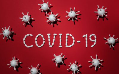 COVID-19 Massacre on Nonprofits